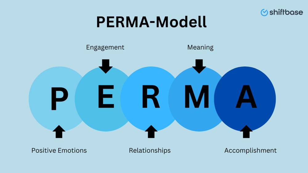 Team diskutiert die fünf Säulen des PERMA-Modells